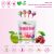Tree Hugger Bubble Gum Filled Lollipops 6 x 12 pieces - Image 4